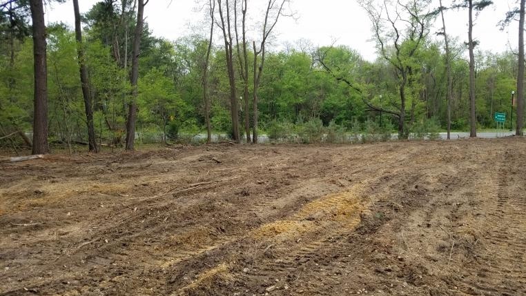 Lot Clearing